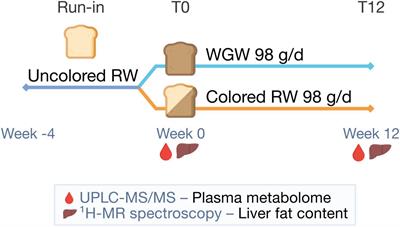 Effects of a 12-week whole-grain or refined wheat intervention on plasma acylcarnitines, bile acids and signaling lipids, and association with liver fat: A post-hoc metabolomics study of a randomized controlled trial